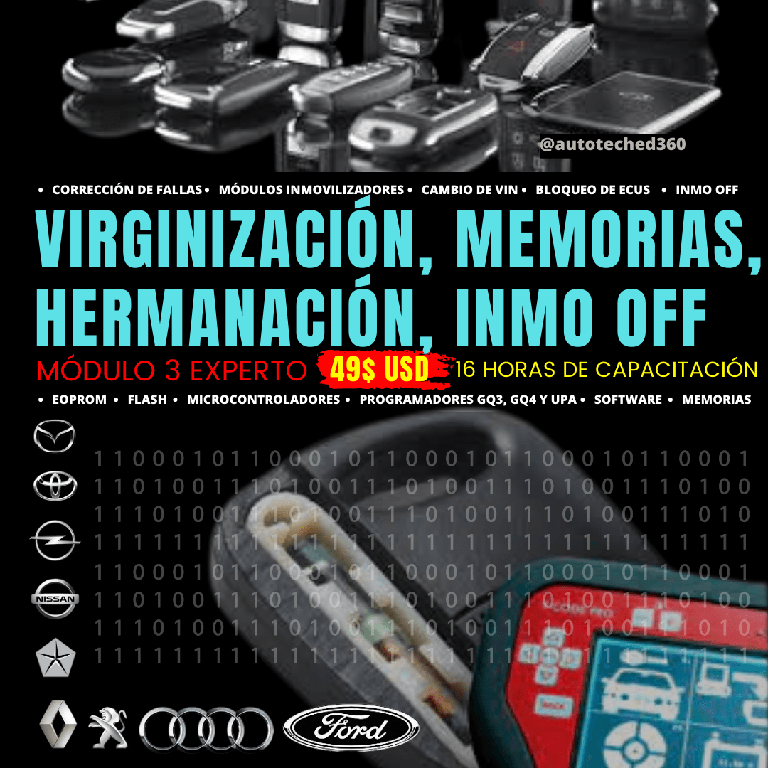 Virginización, memorias, hermanación, inmo off