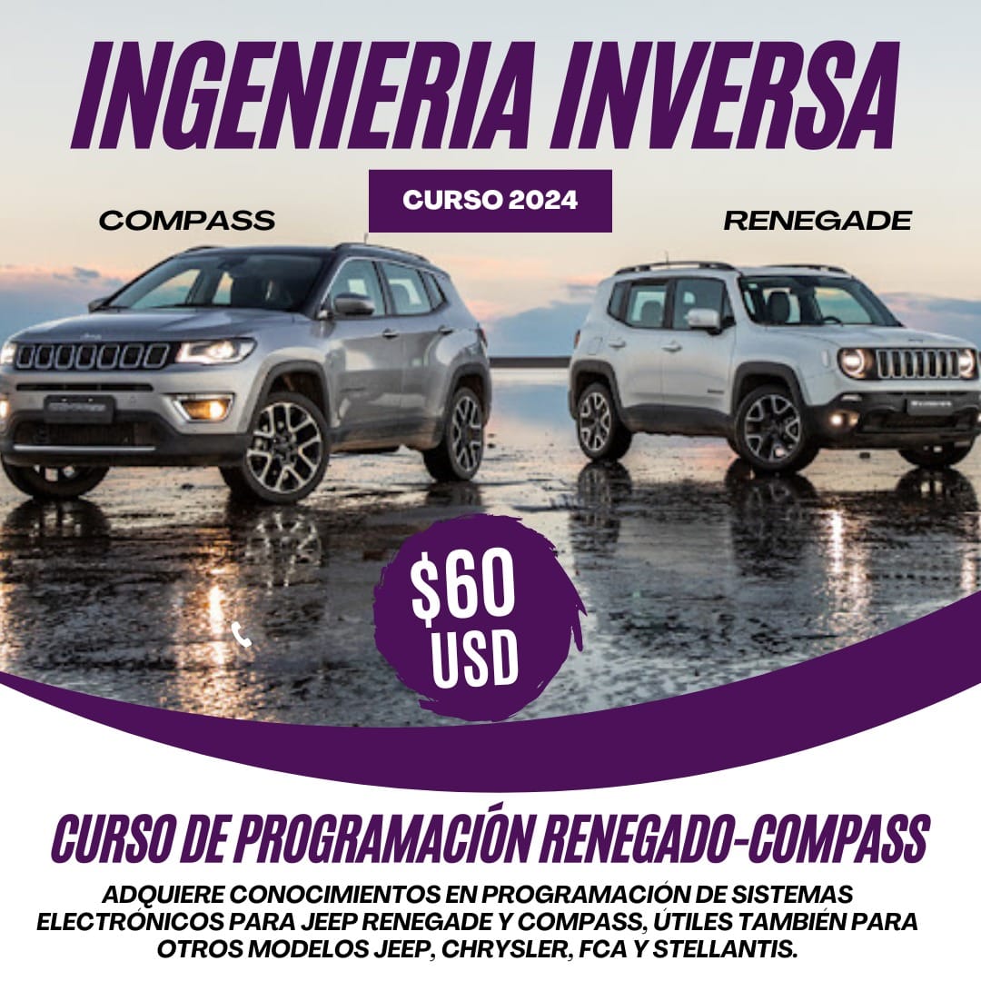 CURSO PROGRAMACIÓN CON INGENIERÍA INVERSA 2024