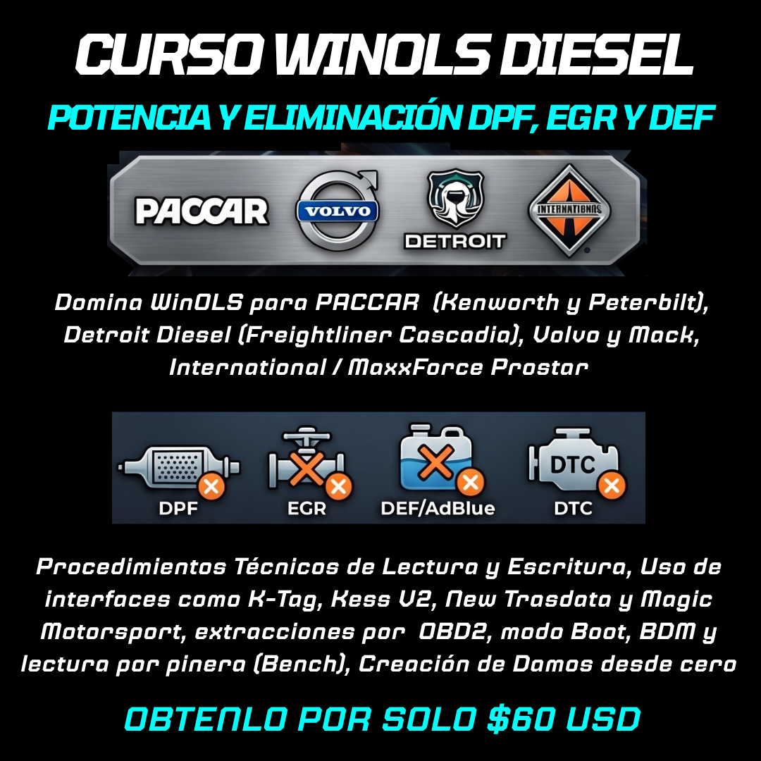 Curso WinOLS Diesel Potencia y Eliminación DPF, EGR y DEF